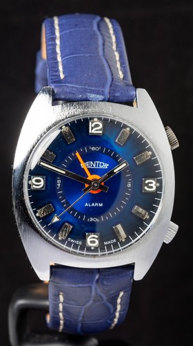 Mentor alarm blaues - mentor,